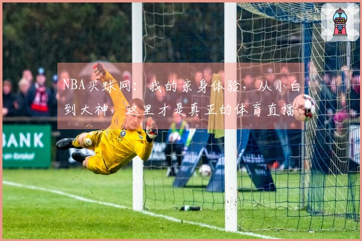 NBA买球网：我的亲身体验，从小白到大神，这里才是真正的体育直播入口！